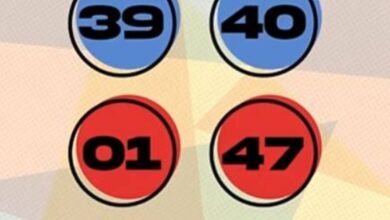 No winners in Super Lotto 6/49, Lotto 6/42 draws for May 28