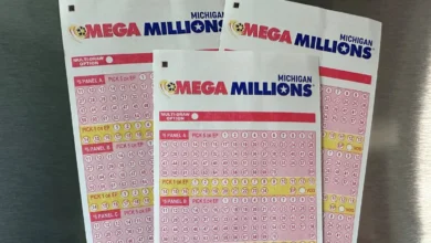 Did anyone win the Mega Millions last night? See results of Nov. 14 drawing