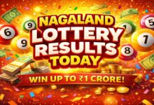 Nagaland Lottery Results Today Live At 09-03-2026: Check Dear Monday Lottery Winners, First Prize Rs 1 Crore