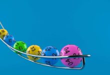 Daily Lotto and Daily Lotto Plus results: Thursday, 28 May 2026