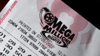 What are the Mega Millions winning numbers on Friday, May 29, 2026? Jackpot and prize money