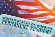 ‘Ending visa lottery is not about racism’: Republican senator clarifies crackdown on DEI immigration is for ‘securing the nation’ - The Times of India
