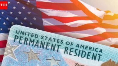 ‘Ending visa lottery is not about racism’: Republican senator clarifies crackdown on DEI immigration is for ‘securing the nation’ - The Times of India