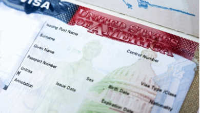 Trump Administration Targets Diversity Visa Lottery After Brown University Attack, Rekindling Long-Running Immigration Crackdown - Tekedia