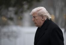 Trump suspends green card lottery in wake of Brown University, MIT shootings