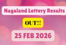 Nagaland Lottery 1PM Result Out Today: Dear Morning Lucky Draw 25 February for Rs. 1 Cr Bumper Prize