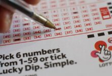 One ticket-holder wins £3.8m Lotto jackpot in Saturday's draw
