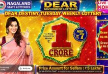 Nagaland State Lottery Result: June 2, 2026, 8 PM Live - Watch Streaming Of Winners List Of Dear Destiny Sambad Night Tuesday Weekly Draw