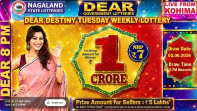 Nagaland State Lottery Result: June 2, 2026, 8 PM Live - Watch Streaming Of Winners List Of Dear Destiny Sambad Night Tuesday Weekly Draw