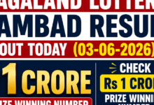 Nagaland Lottery Sambad result out today (03-06-2026); check Rs 1 crore prize winning number and full list here