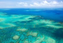 Two more senior Allwyn execs join Australia’s Lottery Corporation