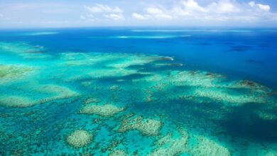 Two more senior Allwyn execs join Australia’s Lottery Corporation