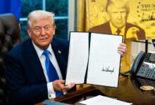 Immigration lawyers say the H-1B chaos is forcing tough business calls
