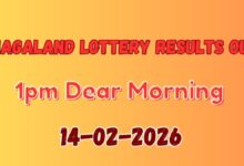 Nagaland Lottery Sambad 1 PM Result Feb 14 Announced: Check Dear Vision Saturday Lottery Full Winners List