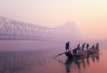 10 winning photos from the World Food Photography Awards 2026