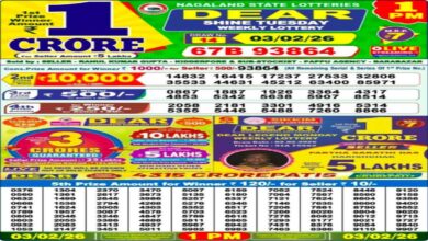 Nagaland Sambad Lottery Result Today, 3 Feb 2026 LIVE: Morning 1 PM Dear Tuesday Weekly Lucky Draw Winners