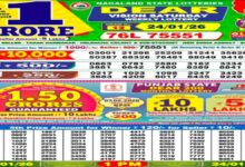 Nagaland State Lottery Result Today, 24 January 2026 LIVE: Sambad 1 PM Dear Saturday Weekly Lucky Draw Winners