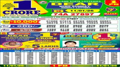 Nagaland State Lottery Result Today, 11 January 2026 LIVE: 1 PM Dear Weekly Sunday Morning Lucky Draw Winners