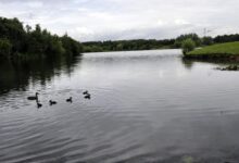 Use this month to get back to nature, says wildlife group