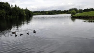 Use this month to get back to nature, says wildlife group