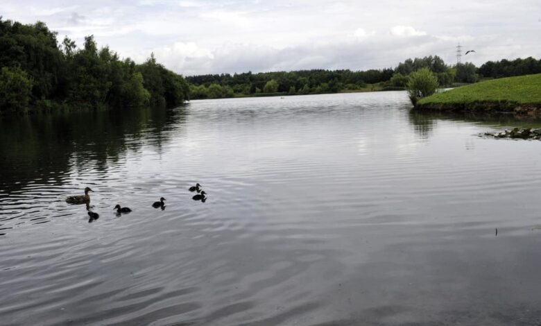 Use this month to get back to nature, says wildlife group