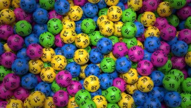 Lotto and Lotto Plus results: Saturday, 22 November 2025 [VIDEO]