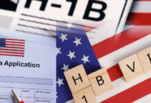New bill by Chip Roy targeting H-1Bs seeks to end lottery, OPT: Put America's white-collar workers first