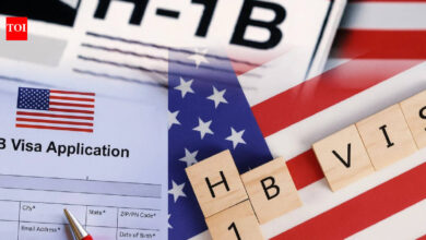 New bill by Chip Roy targeting H-1Bs seeks to end lottery, OPT: Put America's white-collar workers first