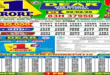 Nagaland State Lottery Result Today, 2-2-2026 LIVE: Sambad 1 PM Dear Monday Weekly Lucky Draw Winners List Out