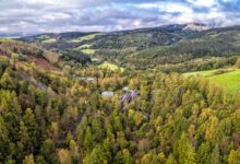 New Wales-wide climate action project launched with £1.5m National Lottery funding