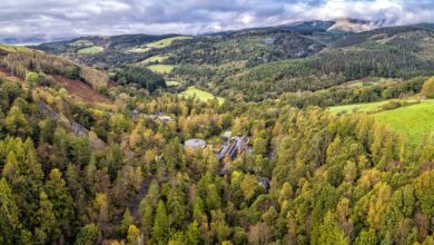 New Wales-wide climate action project launched with £1.5m National Lottery funding