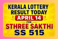 Kerala Lottery Result Today, April 14: Sthree Sakthi SS 515 Result OUT; Check If You Won Rs. 1 Crore