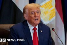 US visa lottery: Why US President Donald Trump wan scrap H-1B lottery visa for a selection system? - BBC News Pidgin