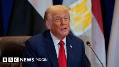 US visa lottery: Why US President Donald Trump wan scrap H-1B lottery visa for a selection system? - BBC News Pidgin