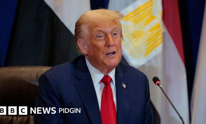 US visa lottery: Why US President Donald Trump wan scrap H-1B lottery visa for a selection system? - BBC News Pidgin