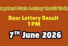 Nagaland Sambad Lottery Result 07-06-2026 LIVE: Dear Sunday Winner List OUT; Check 1st Prize Winner