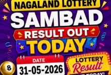 Nagaland Lottery Sambad result out today (31-05-2026); check Rs 1 crore prize winning number and full list here