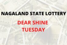 Nagaland State Lottery Sambad Dear Shine Tuesday result for