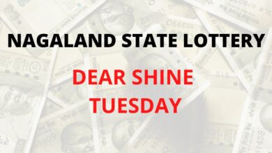 Nagaland State Lottery Sambad Dear Shine Tuesday result for