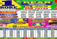 Nagaland State Lottery Result Today, 18-01-2026 LIVE: Check Sambad 1 PM Dear Weekly Sunday Lucky Draw Winners