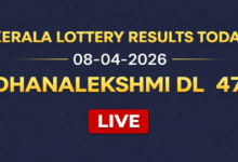 Kerala Dhanalekshmi DL-47 lottery result out today, 08-04-2026; Check ₹1 crore first prize winner and complete list here