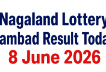 Nagaland Lottery Sambad Result Today, 8 June 2026: Check Rs 1 crore prize winning number & full list here