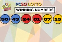 No winners in Grand Lotto, Mega Lotto 6/45 draws for June 8