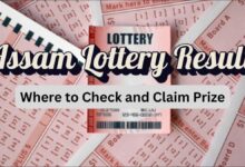 Bodoland Lottery Results Today, 27 Jan: Assam State Lottery Results Out; Check Tuesday Series Winning Numbers