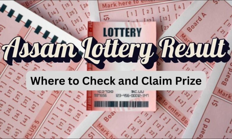 Bodoland Lottery Results Today, 27 Jan: Assam State Lottery Results Out; Check Tuesday Series Winning Numbers
