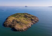 How our funding is saving the UK’s seabird sanctuaries