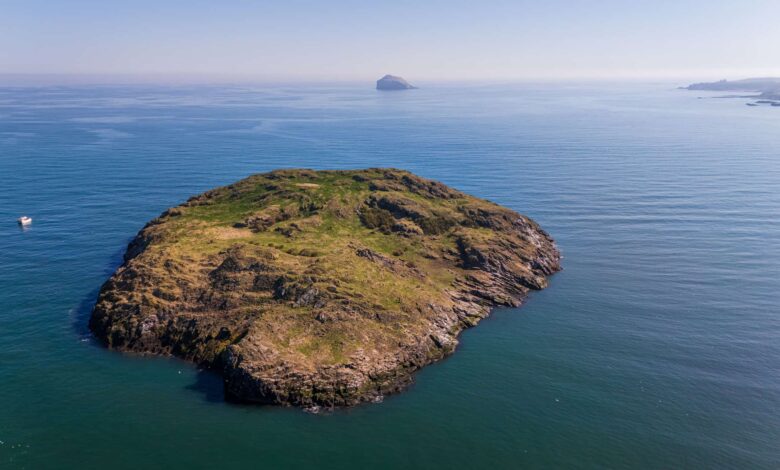 How our funding is saving the UK’s seabird sanctuaries