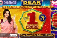 Nagaland State Lottery Result: June 9, 2026, 8 PM Live - Watch Streaming Of Winners List Of Dear Destiny Sambad Night Tuesday Weekly Draw