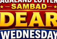 Nagaland Lottery Result Today (10-06-2026): Rs 1 crore winner of Dear Wednesday draw; Check full winners list and prize details