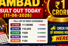 Nagaland Lottery Sambad result out today (11-06-2026); check Rs 1 crore prize winning number and full list here